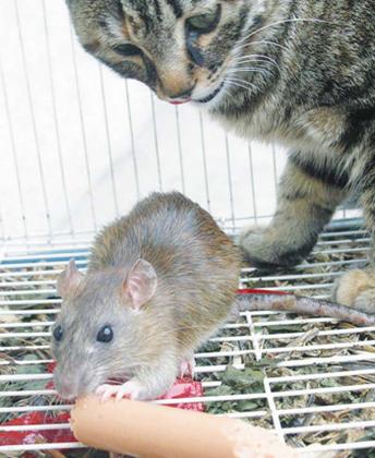 友吵完架后,都一周了,她和我也恢复了,可是就感